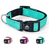 NESTROAD 犬首輪 調節可能 夜間反射 小型犬・中型犬・大型犬用 全犬種対応 おしゃれ メッシュ 通気性 安全 訓練用 メッシュ ソフト 痛くない 簡単装着 丈夫 (グリーン,XS)