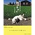 岩合光昭「見上げてごらん、朝のネコを」