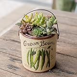 多肉植物 寄せ植え taniku オールドボトル缶 Lサイズ ( グリーンビーンズ 柄 )