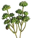 meiliy 6ヘッド人工ビニールSucculentホームホテルオフィスウェディングパーティーガーデンクラフトアート装飾、2 Bunches B01GBZROYC