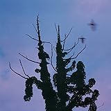 ���Ԃ炾�� �ؔ�(SHM-CD)