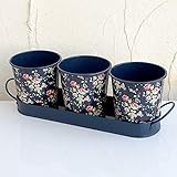 BRIERS　ジュリードッズワース・フラワーガール　ハーブトレイセット ノーブランド品