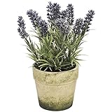 (ヒル・インテリアズ) Hill Interiors パープル ラベンダー ポット入り 造花 イミテーションフラワー デコレーション (ワンサイズ) (パープル/グリーン)