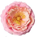 Hommy 結婚式　部屋　ホーム　パーティー　インテリア　装飾　花ヘッド　花びら 　牡丹　造花　人工装飾花　６個 (桜色)