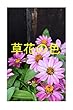 草花の色