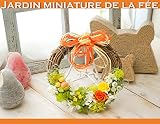 妖精の箱庭みたいなシトラスカラーのフェアリーリース★ardin miniature de la fee Tangerine