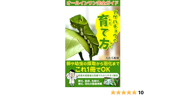 Amazon Co Jp アゲハチョウの育て方 オールインワン完全ガイド Ebook たむら船堀 本