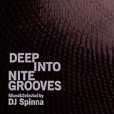 Deep Into Nite Grooves: Mixed By DJ Spin / Various