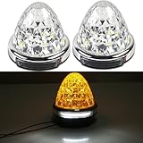 Rikopin(リコピン) サイドマーカーランプ 2個セット 路肩灯付き 12V/24V対応 クリアレンズ バスマーカー トラックマーカー クリスタルレンズ仕様 ダイヤカット (アンバー)