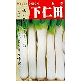 ネギ 種 【 下仁田 】 種子 小袋（約8ml）
