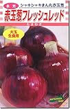 赤玉タマネギ種子・フレッシュレッド玉ねぎ（20ｍｌ）