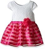 The Children's Place Toddler Girls Lace Organza Dress, Simply White, 4T