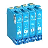 【横トナ】エプソン用 IC69 砂時計 互換インク ICC69 シアン 4本 顔料インク 残量表示対応 対応機種：PX-045A / PX-046A / PX-047A / PX-105 / PX-405A / PX-435A / PX-436A / PX-437A / PX-505F / PX-535F / PX-S505