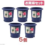 お買得セット リッチェル バラ鉢 ブルー 6号 φ18×18cm お買い得5個入
