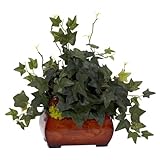 Puff IvyWith Chest Silk Plant Green