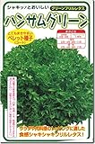 レタス種子・ハンサムグリーン　グリーンフリルレタス（100粒）