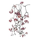 大地農園 ドライフラワー サンキライのツル実付(6本入り) DO022214-000