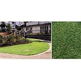 張り芝：コウライ芝ウインターフィールド1.8平米分(高麗芝）[丈夫な高麗芝]