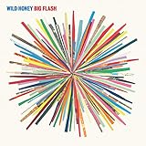 Big Flash [12 inch Analog]