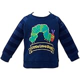 2017年 秋冬 はらぺこあおむし パイル起毛 袖ボーダー切替 長袖トレーナー THE WORLD OF ERIC CARLE 胴ネイビー◇90cm