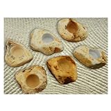 みきかじや村 苔伊予鉢 小(1個価格) TS063