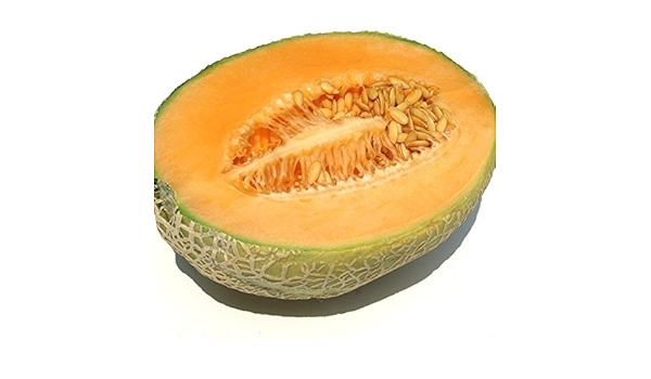 Amazon ハミメロン新疆メロン甘い鮮明で簡単に育てる果物盆栽10個 観葉植物 オンライン通販