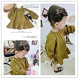 女小童純ひじょうにいきごんで提灯袖長袖のワンピース2017春モデルの新型児童赤ちゃん版人形シャツ [並行輸入品]
