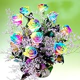 あっと驚くサプライズプレゼント！虹色のバラレインボーローズミラクル　10本の花束カスミソウ付き　お誕生日 お祝い 日時指定無料