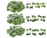 cyndie 雑貨 造花 壁掛け インテリア 壁掛 グリーン 緑 植物 吊り (1本) 200cm　小さい　星形 葉