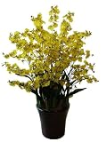 アートフラワー造花・オンシジューム光触媒品