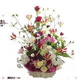 退職お祝いの花 華やかに赤白豪華フラワーバスケットアレンジ お祝い札付