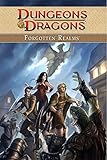 Dungeons & Dragons: Forgotten Realms Vol. 1