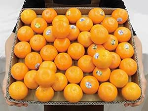 Amazon オア オレンジ 40 45玉前後 約5kg イスラエル産 オアマンダリン 冷蔵便 くらし快援隊 食品 飲料 お酒 通販