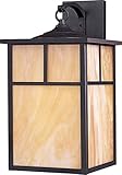 Maxim Lighting 86054HOBU One Light Burnished Honey Glass Wall Lantern, Black [並行輸入品]
