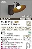 コイズミ照明　アウトドアライト【AU42251L】