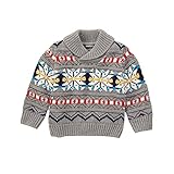 Gymboree Baby Big Boys' Fairisle Shawl Collar Sweater Static Grey Heather 6-12 [並行輸入品]
