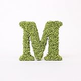 A plus floral art インテリアグリーン イニシャルモス [ M ] アルファベット オブジェ 置物 苔 イニシャル 雑貨 北欧風 インテリア