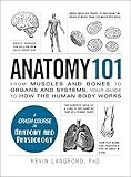 Cover of Anatomy 101: From Muscles and Bones to Organs and Systems, Your Guide to How the Human Body Works (Adams 101)