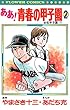 ああ！青春の甲子園（２） (フラワーコミックス)