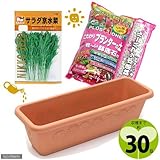 収穫まで30日 「サラダ京水菜」栽培セット 種・土・鉢底石・プランターの4点セット 家庭菜園