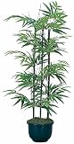 光触媒 人工観葉植物 光の楽園 黒竹 1.0m 176A120