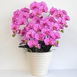 光触媒の胡蝶蘭 鉢植え 造花 アートフラワー Mサイズ-5本立 H70cm(赤/オーキッド色-白鉢)