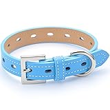 犬 首輪 おしゃれ かわいい ブランド 中型犬 小型犬 超小型犬 いぬ くびわ 革 レザー 皮 チワワ トイプードル 犬用首輪 てるべる No1(FBM) (ブルー, MS)