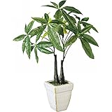 光触媒　パキラ（造花） オブジェ