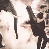 �f�C�E���C�N�E�g�D�f�C+3