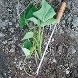 らくらく芋ヅル植え器