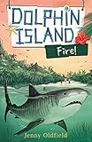 Dolphin Island: Fire!: Book 4 (English Edition)