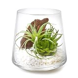 GREENPARK 多肉植物ミックスA ガラストラぺゾイド 白玉石 造花 フェイクグリーン