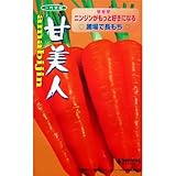 にんじん 種 【 甘美人 】 種子 小袋（約300粒）