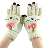 FakeFace Cute Cartoon Smart Phones & Tablet Touch Screen Texting Gloves Womens Soft Wool Knitted Win